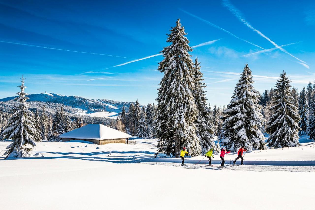 Babaute 7, Studio Typique Au Pied Des Pistes Premanon Bagian luar foto
